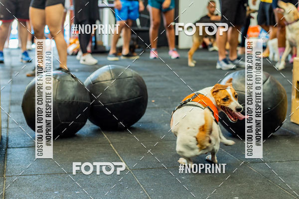 Buy your photos of the eventDog Wod - Crossfit Saurus on Fotop