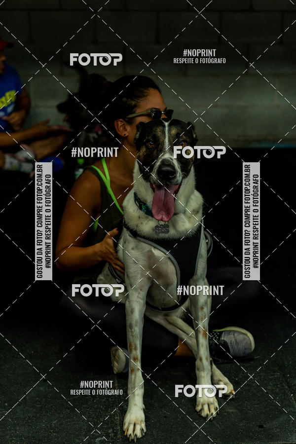 Buy your photos of the eventDog Wod - Crossfit Saurus on Fotop