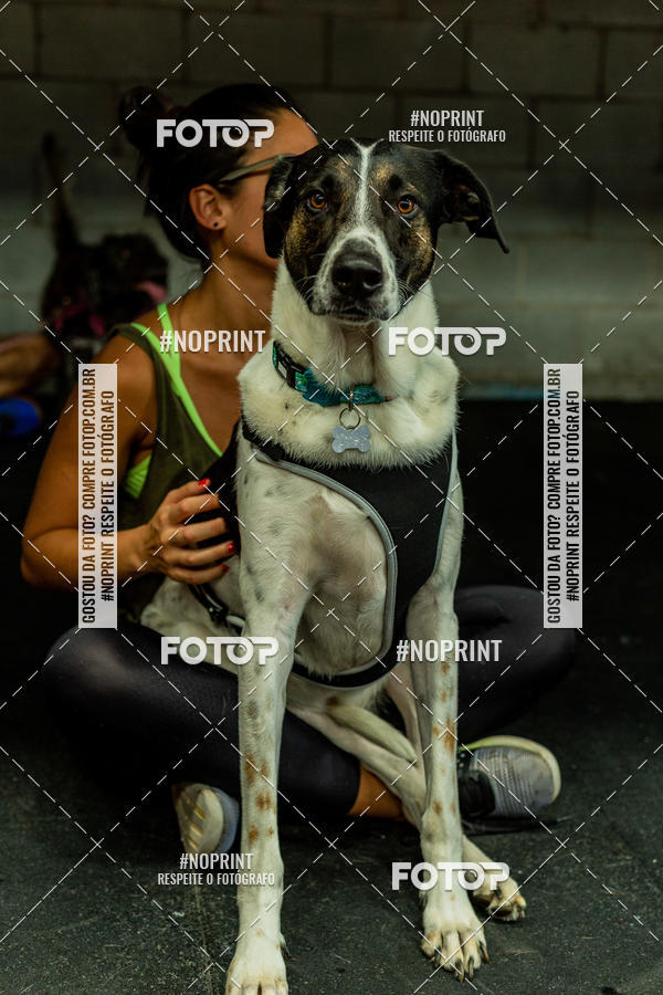 Buy your photos of the eventDog Wod - Crossfit Saurus on Fotop