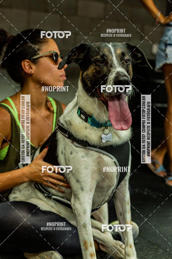 Buy your photos of the eventDog Wod - Crossfit Saurus on Fotop