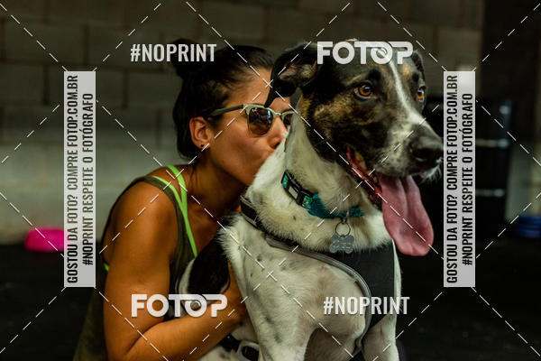 Buy your photos of the eventDog Wod - Crossfit Saurus on Fotop