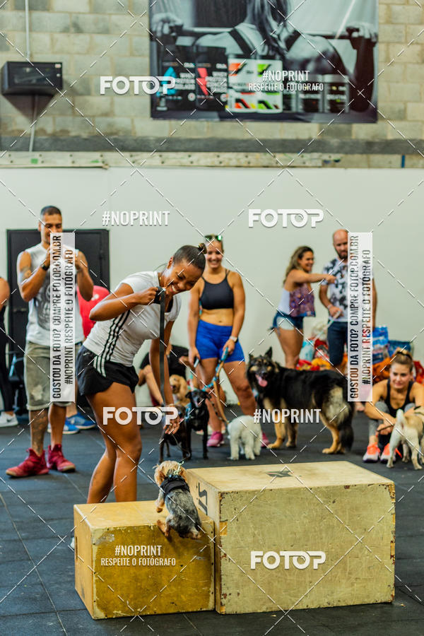 Buy your photos of the eventDog Wod - Crossfit Saurus on Fotop