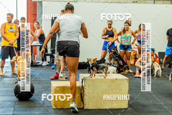 Buy your photos of the eventDog Wod - Crossfit Saurus on Fotop