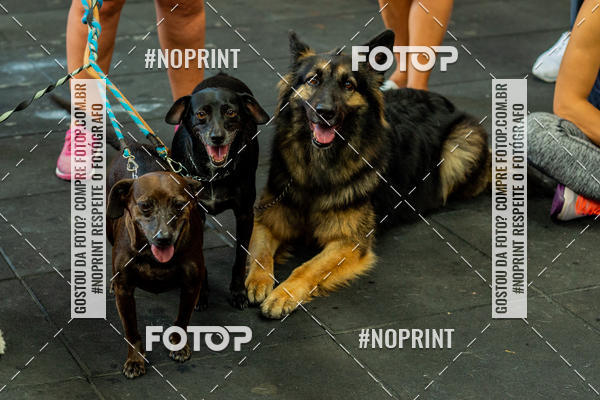 Buy your photos of the eventDog Wod - Crossfit Saurus on Fotop
