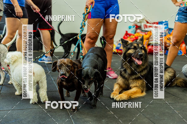 Buy your photos of the eventDog Wod - Crossfit Saurus on Fotop