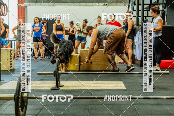 Buy your photos of the eventDog Wod - Crossfit Saurus on Fotop