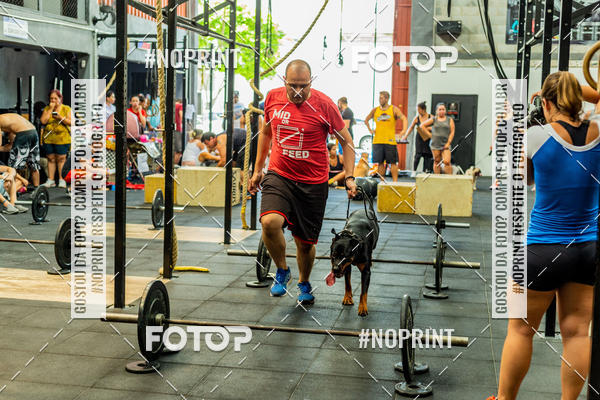 Buy your photos of the eventDog Wod - Crossfit Saurus on Fotop