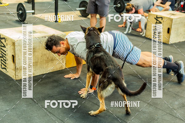 Buy your photos of the eventDog Wod - Crossfit Saurus on Fotop