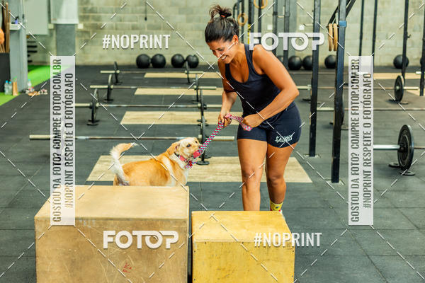 Buy your photos of the eventDog Wod - Crossfit Saurus on Fotop
