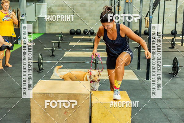 Buy your photos of the eventDog Wod - Crossfit Saurus on Fotop