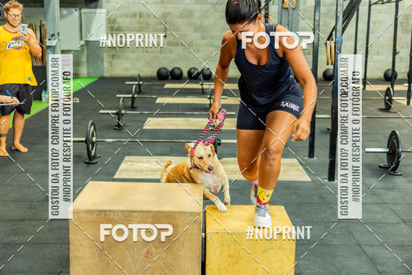 Buy your photos of the eventDog Wod - Crossfit Saurus on Fotop