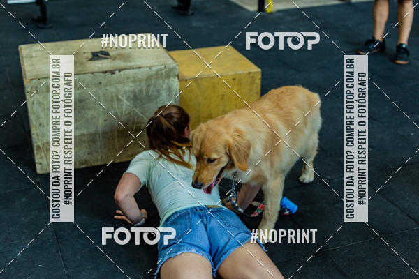 Buy your photos of the eventDog Wod - Crossfit Saurus on Fotop