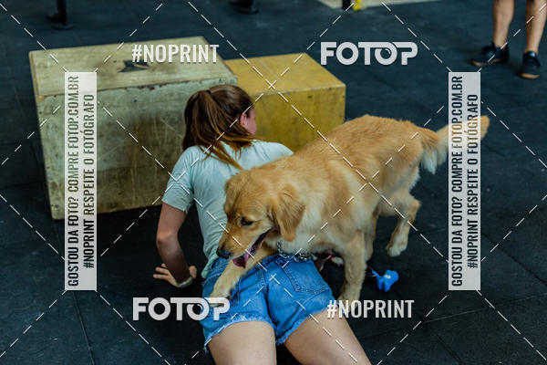 Buy your photos of the eventDog Wod - Crossfit Saurus on Fotop