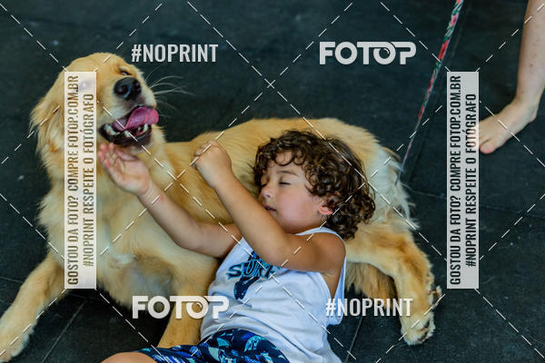 Buy your photos of the eventDog Wod - Crossfit Saurus on Fotop
