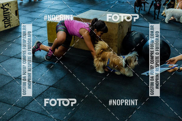 Buy your photos of the eventDog Wod - Crossfit Saurus on Fotop