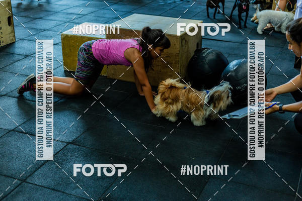 Buy your photos of the eventDog Wod - Crossfit Saurus on Fotop