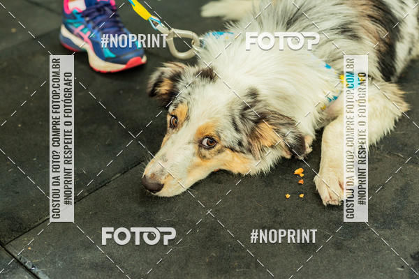 Buy your photos of the eventDog Wod - Crossfit Saurus on Fotop