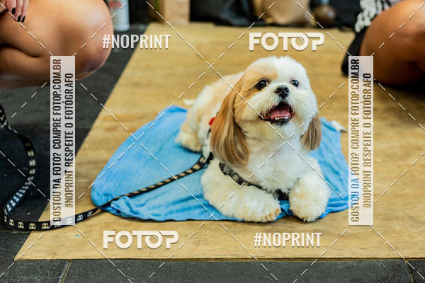 Buy your photos of the eventDog Wod - Crossfit Saurus on Fotop