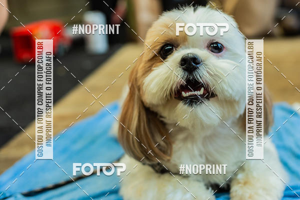 Buy your photos of the eventDog Wod - Crossfit Saurus on Fotop