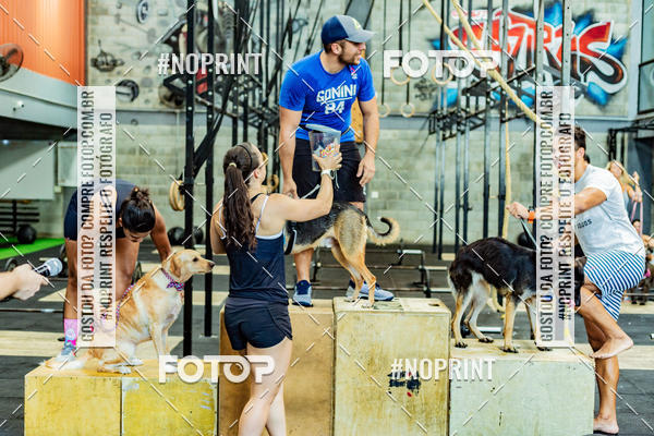 Buy your photos of the eventDog Wod - Crossfit Saurus on Fotop