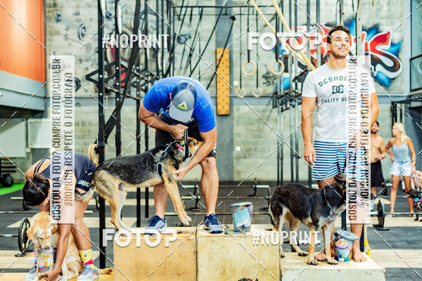 Buy your photos of the eventDog Wod - Crossfit Saurus on Fotop
