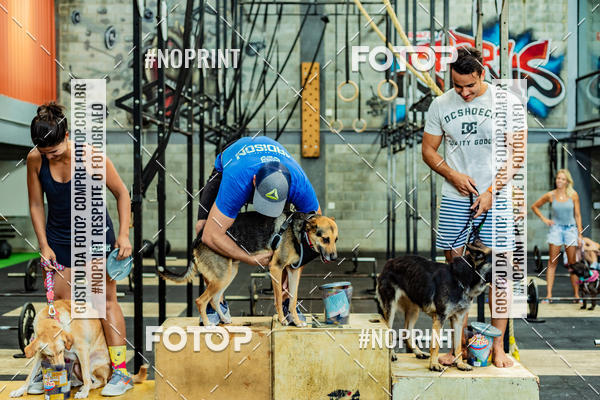 Buy your photos of the eventDog Wod - Crossfit Saurus on Fotop