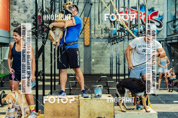 Buy your photos of the eventDog Wod - Crossfit Saurus on Fotop