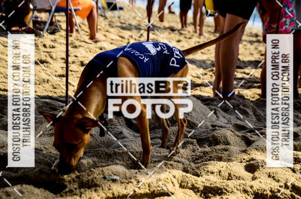 Buy your photos of the eventCircuito Triple Crown de Nata��o -  Etapa Barra Velha -  4k 2k 600m e 200m/Kids on Fotop
