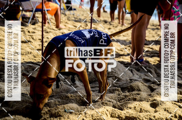 Buy your photos of the eventCircuito Triple Crown de Nata��o -  Etapa Barra Velha -  4k 2k 600m e 200m/Kids on Fotop