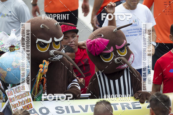 Buy your photos of the eventCorrida de So Silvestre 2013 on Fotop
