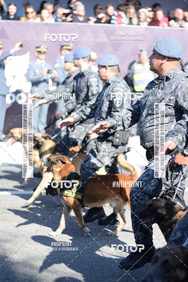 Buy your photos of the eventDesfile cvico 9 de Julho on Fotop