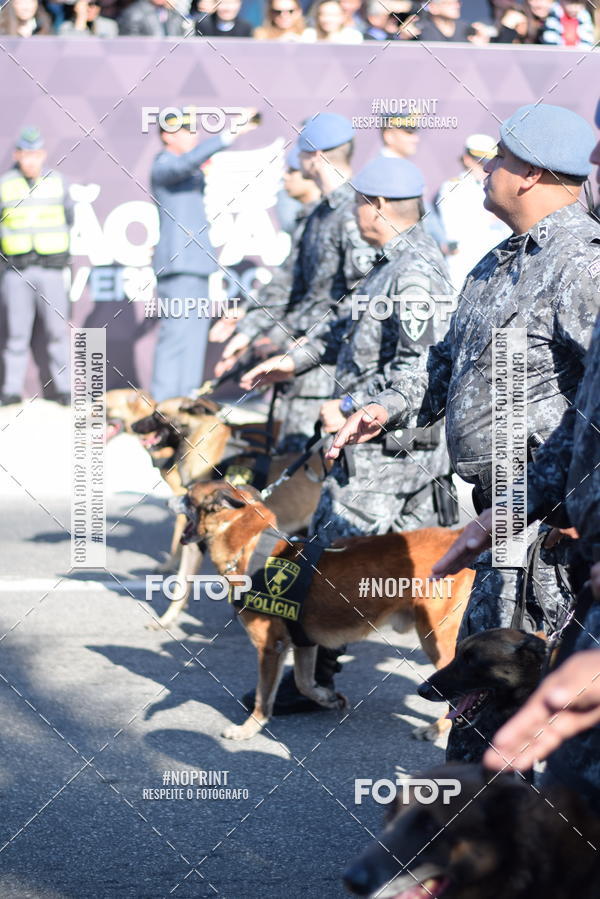 Buy your photos of the eventDesfile cvico 9 de Julho on Fotop