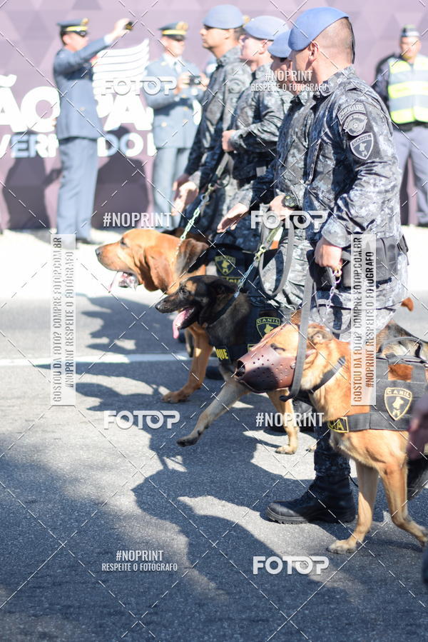 Buy your photos of the eventDesfile cvico 9 de Julho on Fotop