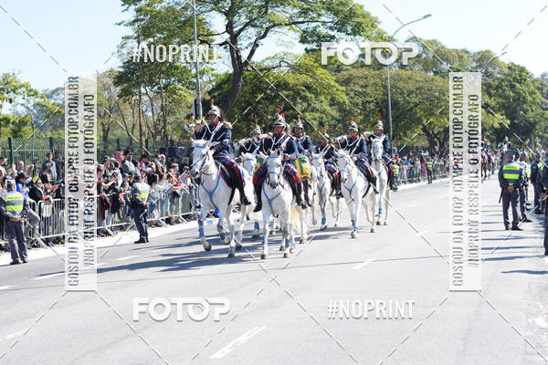 Buy your photos of the eventDesfile cvico 9 de Julho on Fotop