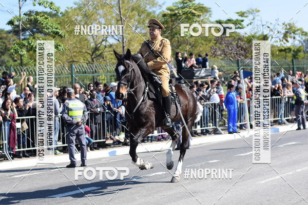 Buy your photos of the eventDesfile cvico 9 de Julho on Fotop