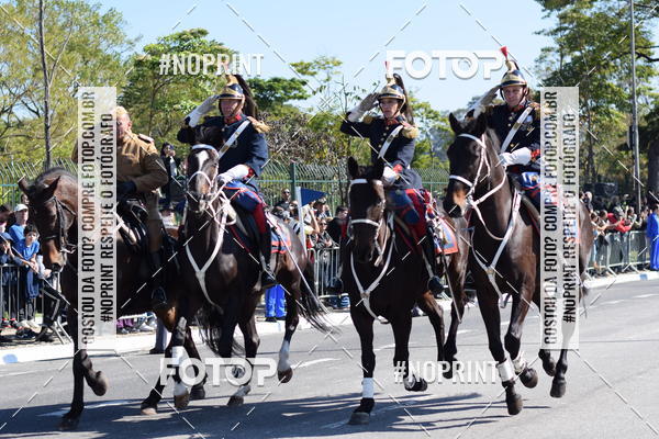 Buy your photos of the eventDesfile cvico 9 de Julho on Fotop