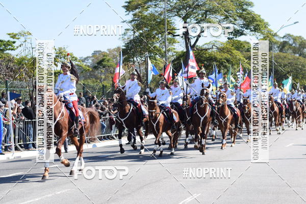 Buy your photos of the eventDesfile cvico 9 de Julho on Fotop