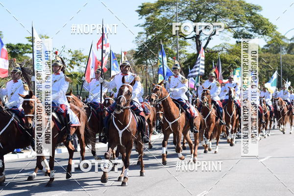 Buy your photos of the eventDesfile cvico 9 de Julho on Fotop