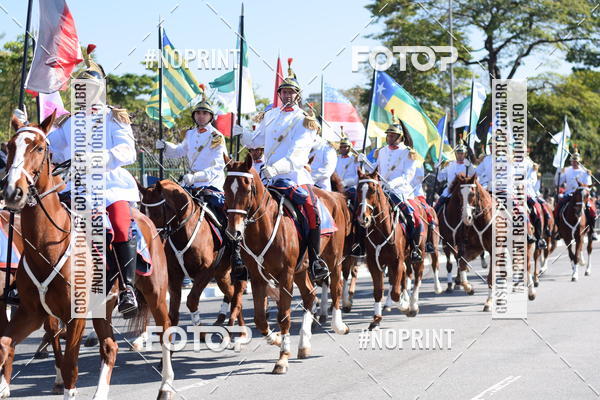 Buy your photos of the eventDesfile cvico 9 de Julho on Fotop