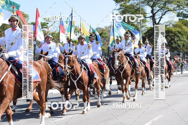 Buy your photos of the eventDesfile cvico 9 de Julho on Fotop