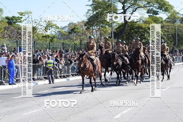Buy your photos of the eventDesfile cvico 9 de Julho on Fotop