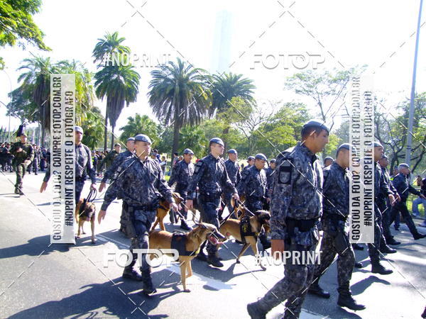 Buy your photos of the eventDesfile cvico 9 de Julho on Fotop