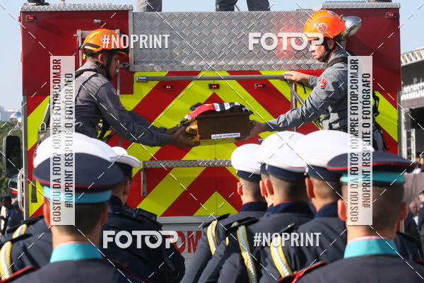 Buy your photos of the eventDesfile cvico 9 de Julho on Fotop