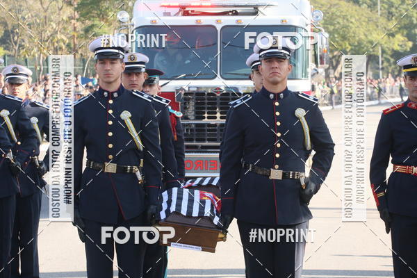 Buy your photos of the eventDesfile cvico 9 de Julho on Fotop