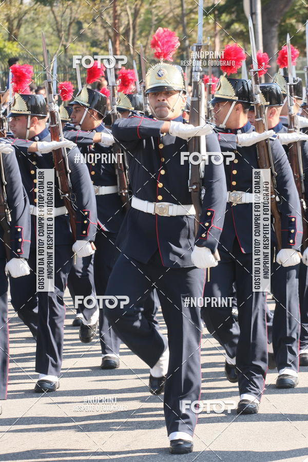 Buy your photos of the eventDesfile cvico 9 de Julho on Fotop