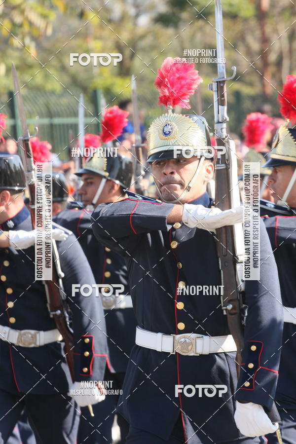 Buy your photos of the eventDesfile cvico 9 de Julho on Fotop