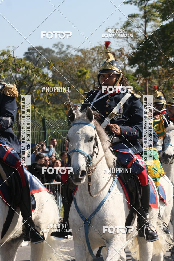Buy your photos of the eventDesfile cvico 9 de Julho on Fotop