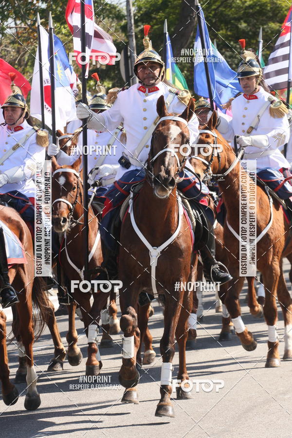 Buy your photos of the eventDesfile cvico 9 de Julho on Fotop