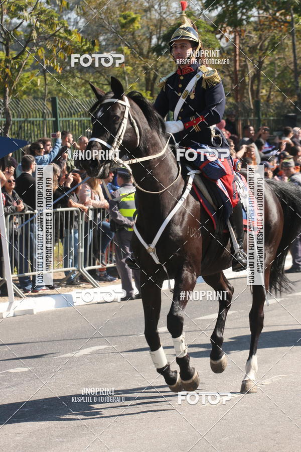 Buy your photos of the eventDesfile cvico 9 de Julho on Fotop