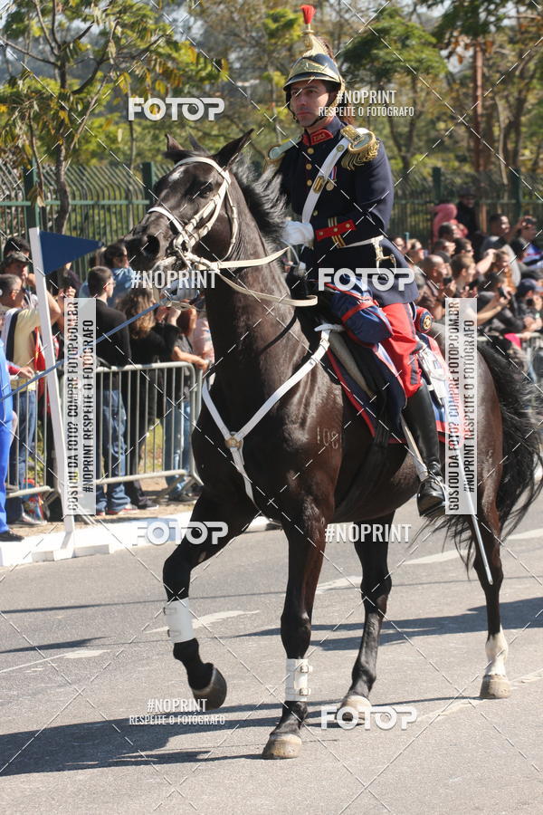 Buy your photos of the eventDesfile cvico 9 de Julho on Fotop